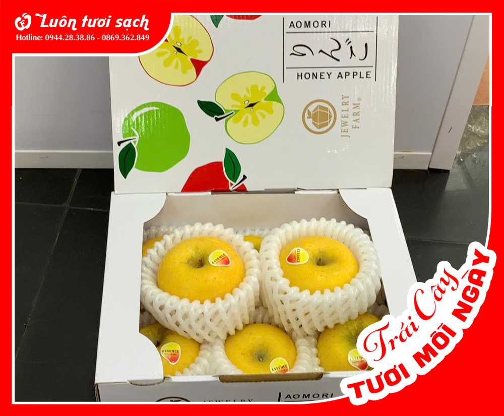 Hộp Táo mật vàng Nhật (6 trái)